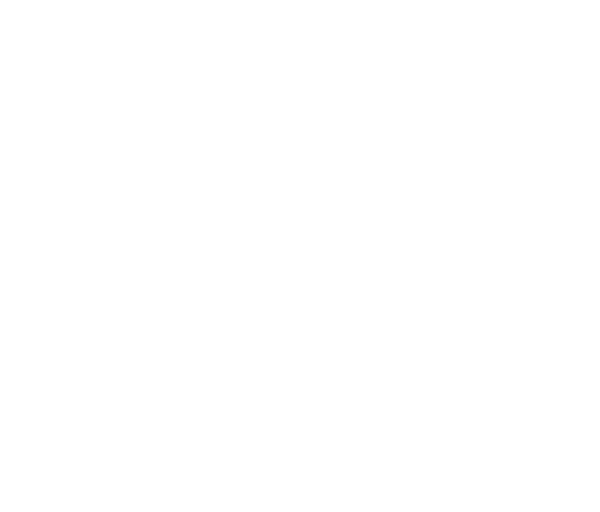 white graphic of a megaphone